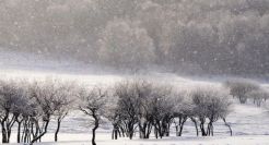 新消费品牌，你靠什么过冬？