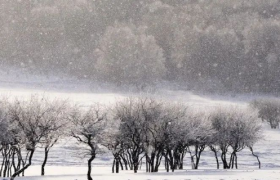 新消费品牌，你靠什么过冬？