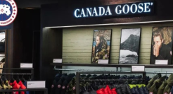 加拿大鹅的千元口罩，是智商税还是货真价实？