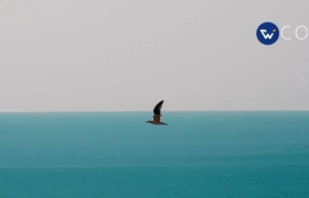 小朋友的文案，无敌