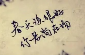 最美的文案和最深的痛