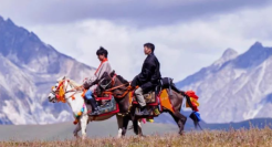 纪录片里的那些文案，才是文案界的天花板