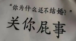 有趣的帆布包文案