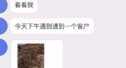 设计师永远想象不到甲方有哪些奇葩需求。