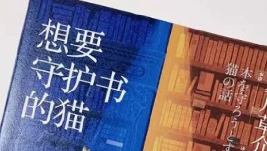 会说话的封面文案：是有多爱生活，才能写出这般文字