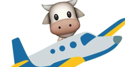 这些歇后语表情包文案，火了！