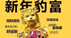 换个头像「豹」富一整年？金钱豹IP火了！