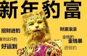 换个头像「豹」富一整年？金钱豹IP火了！