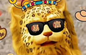 金钱豹头像火了，年轻人为了暴富究竟有多拼？