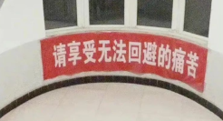 全世界都放假而你还在上班的文案表情包