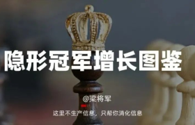 2022 隐形冠军增长图鉴：在暗处发力，才能在明面发光！