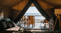 价格上万、一房难求，春节民宿生意火了