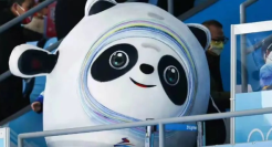 冰墩墩一夜塌房，网友破防了