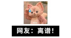 签约刘少昂兄弟，李宁翻车了？