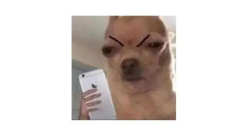 天猫让客户投诉京东？网友：快打起来！