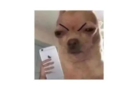 天猫让客户投诉京东？网友：快打起来！