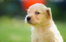 45句好笑反转的文案段子