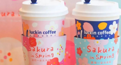 心动！这些樱花季限定包装，设计太浪漫了吧！