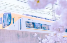 70句春天温暖好看的文案句子！