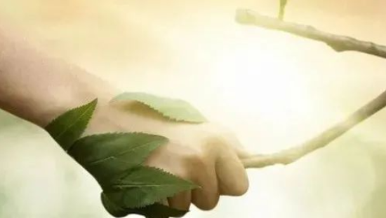 55句植树节的文案句子土味情话合集！