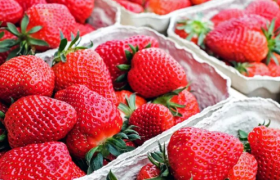 热搜！一颗草莓40元！是消费升级还是收智商税？