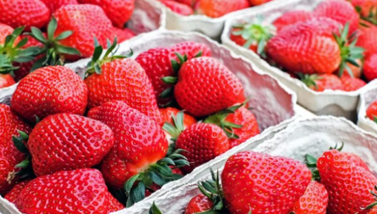 热搜！一颗草莓40元！是消费升级还是收智商税？