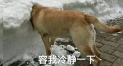 50句人间清醒的文案句子