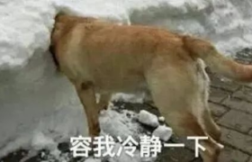 50句人间清醒的文案句子