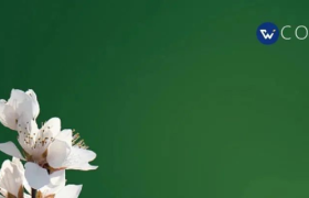 汤臣一品的文案，很出彩