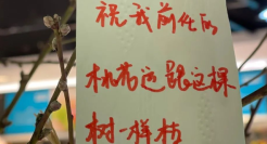 小清新竟变「丧文学」！盒马又翻车了