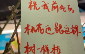 小清新竟变「丧文学」！盒马又翻车了