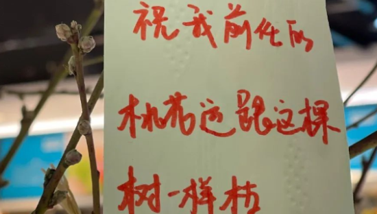 小清新竟变「丧文学」！盒马又翻车了