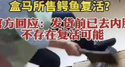 鳄鱼复活？盒马：这锅，我可不背！