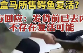 鳄鱼复活？盒马：这锅，我可不背！