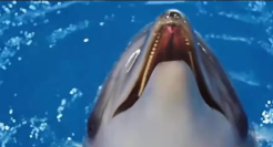 电梯间惊魂！膜法世家阴间广告吓skr人