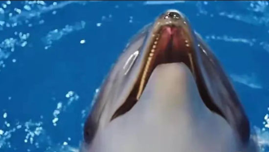 电梯间惊魂！膜法世家阴间广告吓skr人