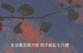 30句温柔勇敢的文案，日子请好好过！