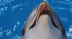 膜法世家，“阴间”出没