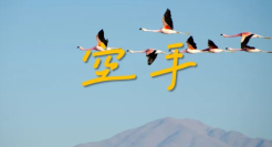 晋升之路：策略总监/创意总监/客户总监/品牌总监/市场总监都是如何炼成的？