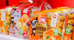 出圈的盼盼，正在失去年轻人