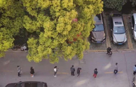 宇通客车：中大型客车领跑者的新能源之路