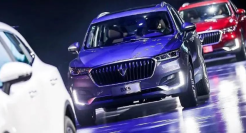 那个疯狂洗脑的汽车品牌，终究还是破产了