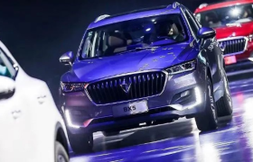 那个疯狂洗脑的汽车品牌，终究还是破产了