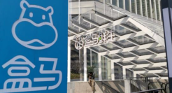 从生活到生存，盒马关店“自救”