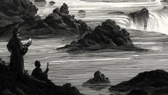 疫情文学，搭建精神“避难所”