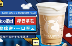 瑞幸牵手椰树大火，品牌联名究竟为了什么？