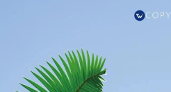 这可能是今年，春天最美的一组文案