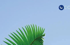 这可能是今年，春天最美的一组文案