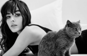 Ubras异军突起，大单品逻辑之下走向何处？