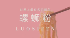 五菱螺蛳“粉”汽车？地气越接越离谱。。。